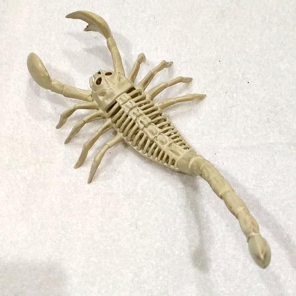 Set of plastic scorpion and bat skeletons. Creepy but awesome! Halloween 🎃 - Picture 5 of 6